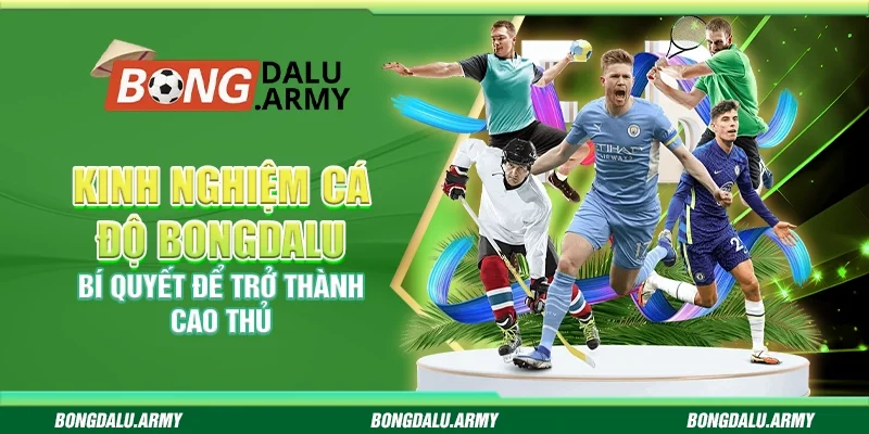 Kinh nghiệm cá độ Bongdalu - Bí quyết để trở thành cao thủ 