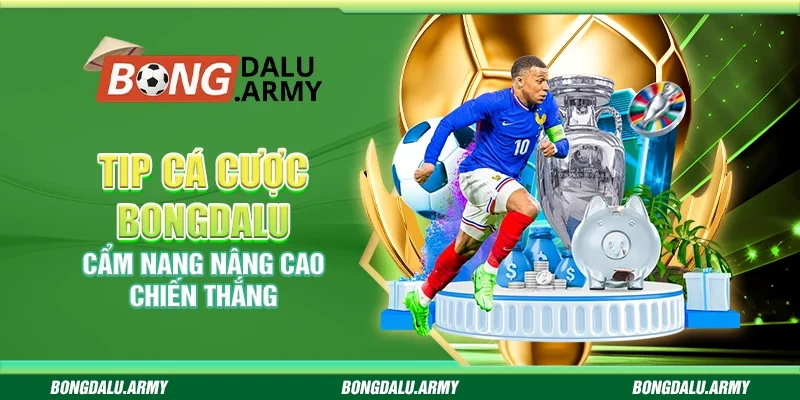 Tip cá cược Bongdalu - Cẩm nang nâng cao chiến thắng 