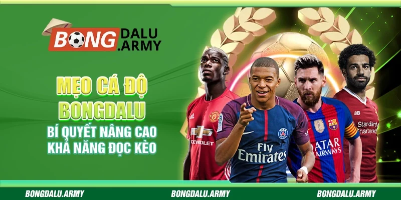 Mẹo cá độ Bongdalu - Bí quyết nâng cao khả năng đọc kèo 