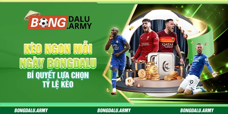 Kèo ngon mỗi ngày Bongdalu - Bí quyết lựa chọn tỷ lệ kèo 