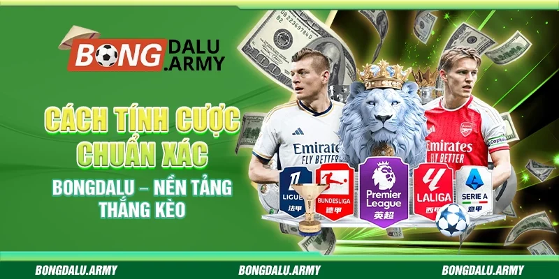 Cách tính cược chuẩn xác bongdalu – Nền tảng thắng kèo