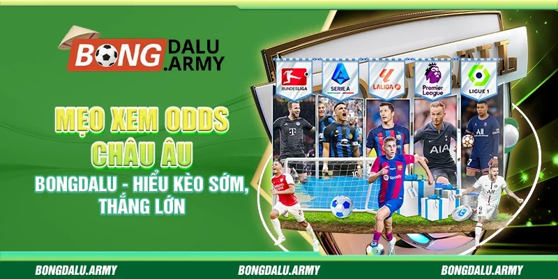 Mẹo xem odds châu Âu Bongdalu - Hiểu kèo sớm, thắng lớn