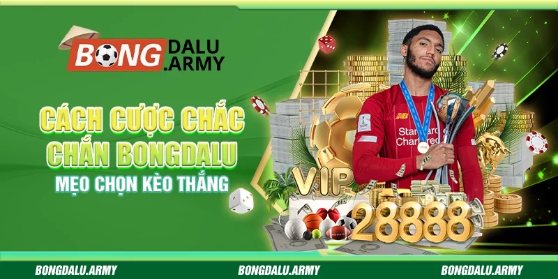Cách cược chắc chắn Bongdalu - Mẹo chọn kèo thắng