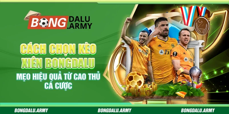 Cách Chọn Kèo Xiên Bongdalu - Mẹo Hiệu Quả Từ Cao Thủ Cá Cược