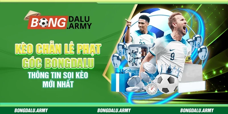 Kèo chẵn lẻ phạt góc Bongdalu - Thông tin soi kèo mới nhất