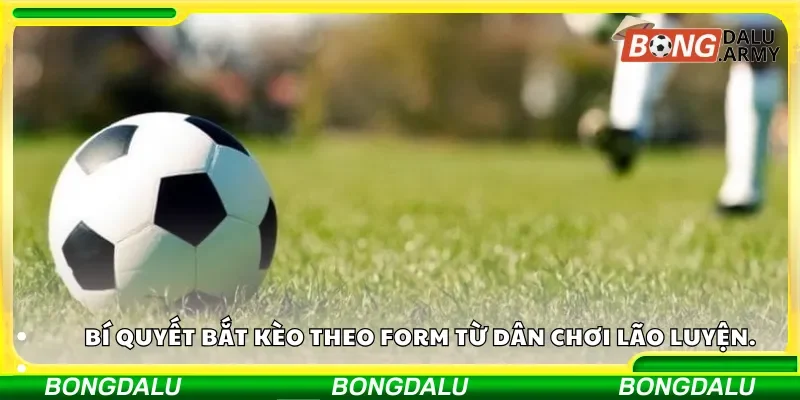 Bí quyết bắt kèo theo form từ dân chơi lão luyện