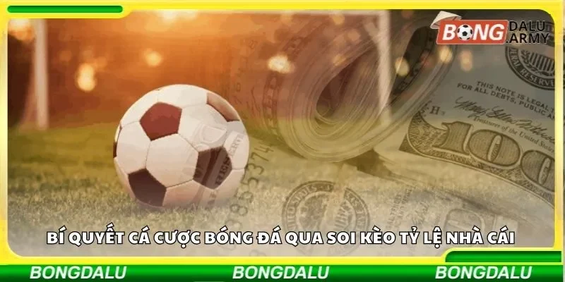 Bí quyết cá cược bóng đá qua soi kèo tỷ lệ nhà cái