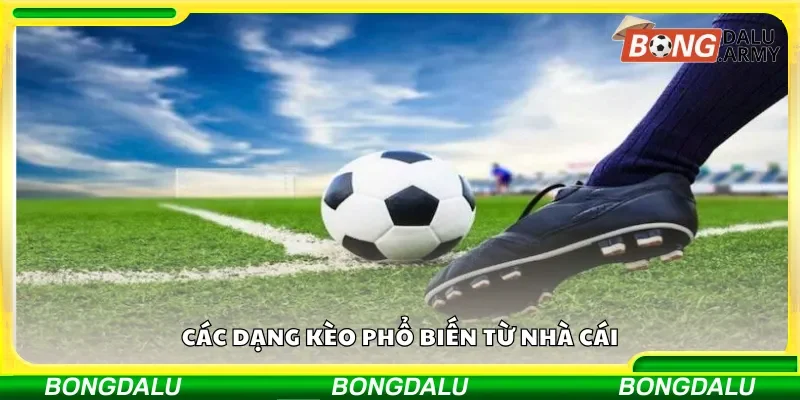 Các dạng kèo phổ biến từ nhà cái