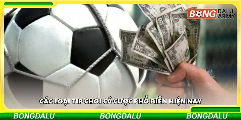 Các loại tip chơi cá cược phổ biến hiện nay