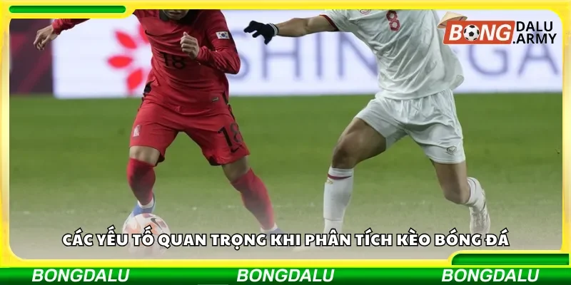 Các yếu tố quan trọng khi phân tích kèo bóng đá
