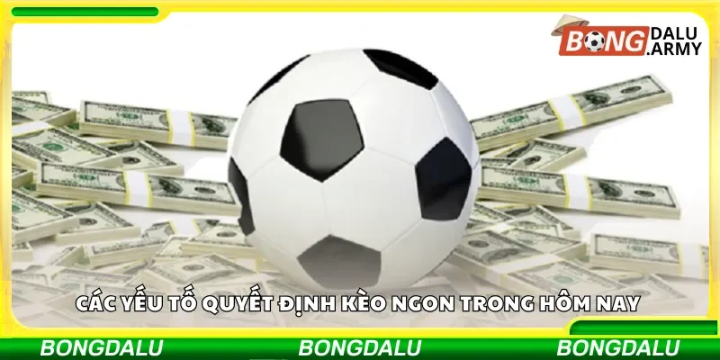 Các yếu tố quyết định kèo ngon trong hôm nay 