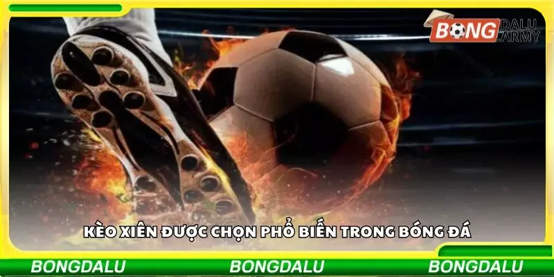 Cách tính tiền Kèo Xiên tại Bongdalu