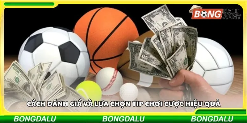 Cách đánh giá và lựa chọn tip chơi cược hiệu quả
