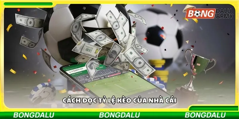 Cách đọc tỷ lệ kèo của nhà cái