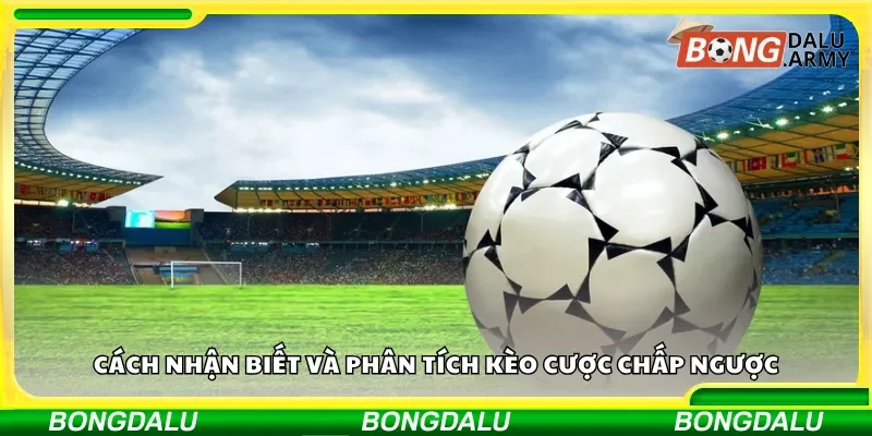 Nhận diện và giải mã kèo cược chấp ngược như chuyên gia