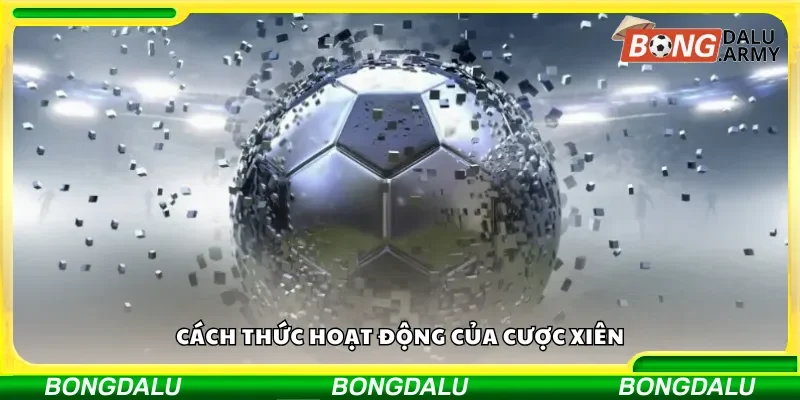 Nguyên lý hoạt động của cược xiên