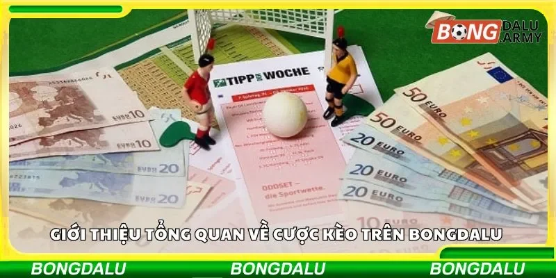 Khám phá toàn diện về cược kèo trên Bongdalu