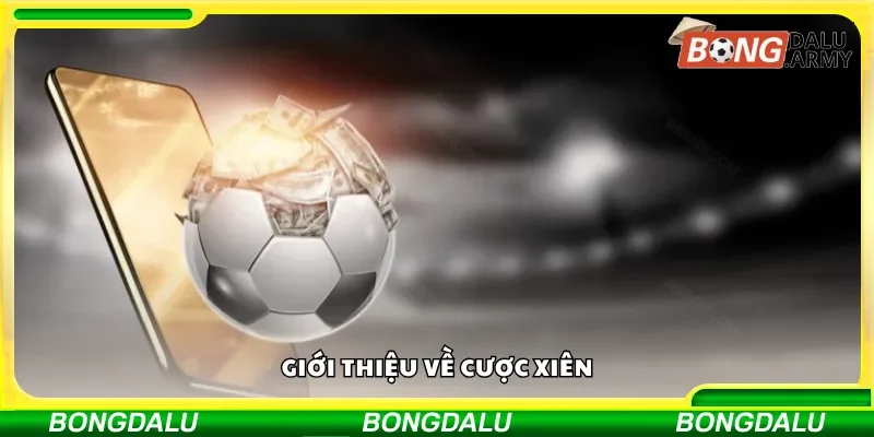 Khám phá cược xiên