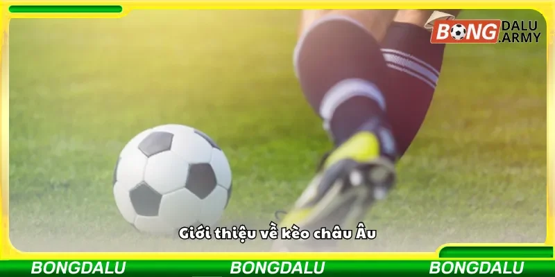 Tổng quan về kèo châu Âu trong cá cược bóng đá