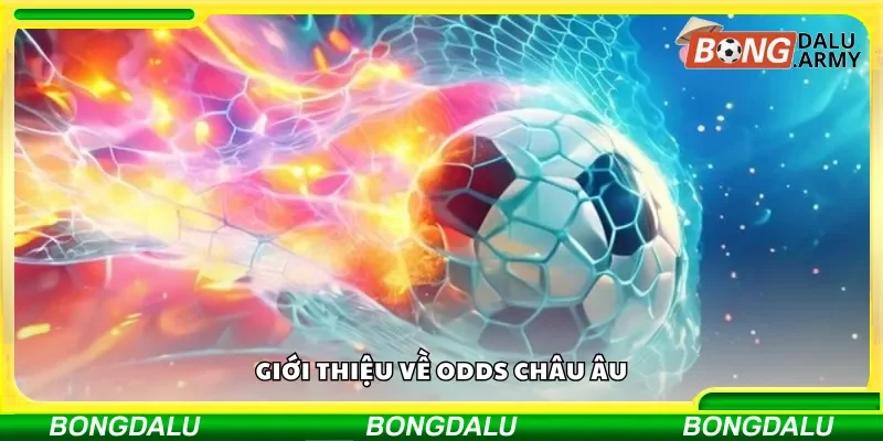 Khái quát về odds Châu Âu trong cá cược