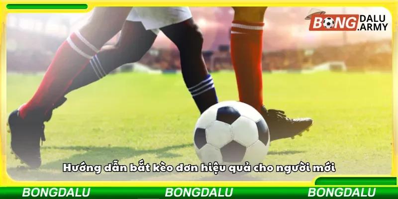 Cách bắt kèo đơn đơn giản và hiệu quả cho người mới bắt đầu