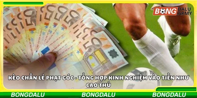 Kèo chẵn lẻ phạt góc - Tổng hợp kinh nghiệm vào tiền như cao thủ