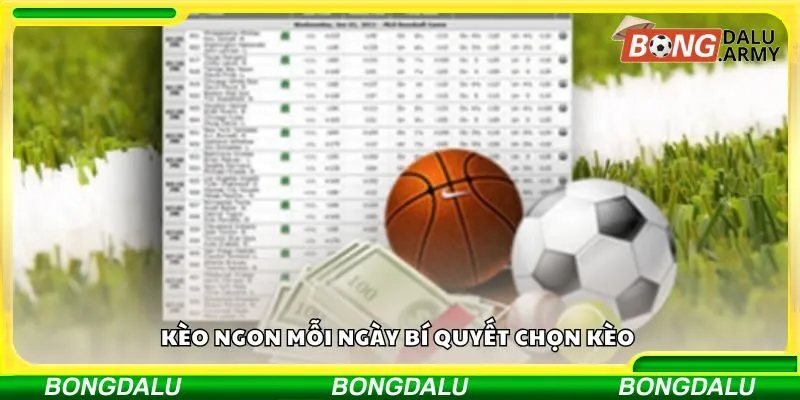 Kèo ngon mỗi ngày bí quyết chọn kèo 