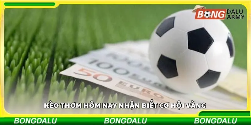 Kèo thơm hôm nay nhận biết cơ hội vàng