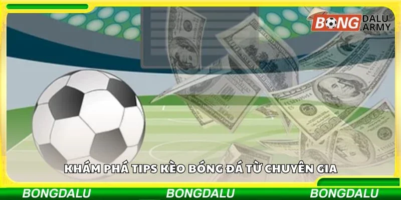 Khám phá tips kèo bóng đá từ chuyên gia