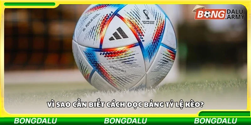 Lý do cần biết cách đọc bảng tỷ lệ kèo
