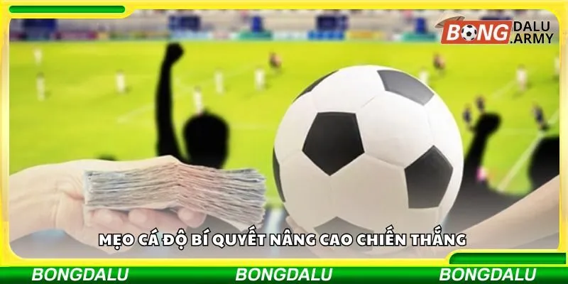 Mẹo cá độ bí quyết nâng cao chiến thắng 