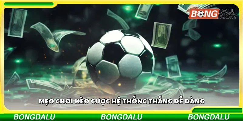 Những chiến thuật hiệu quả khi tham gia kèo cược hệ thống