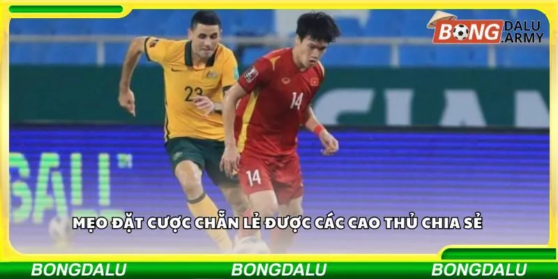 Mẹo đặt cược chẵn lẻ được các cao thủ chia sẻ