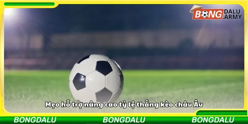 Bí quyết giúp tăng khả năng thắng khi chơi kèo châu Âu
