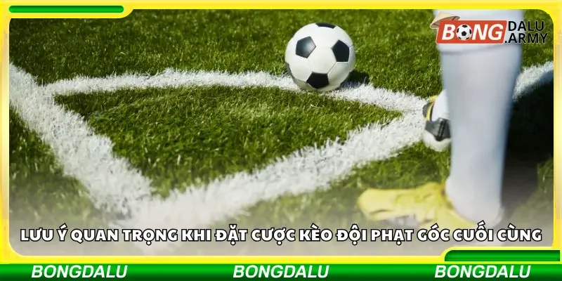 Một số chú ý quan trọng để cược kèo thành công cho người mới