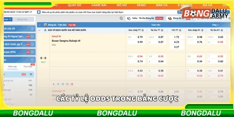 Tham khảo các kiểu tỷ lệ odds trong bảng cá cược