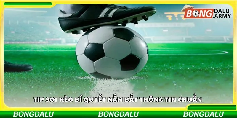 Tip soi kèo bí quyết nắm bắt thông tin chuẩn
